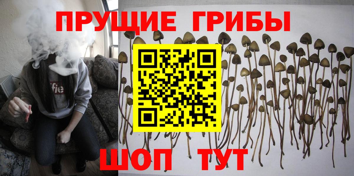 Псилоцибиновые грибы мицелий Славянск-на-Кубани