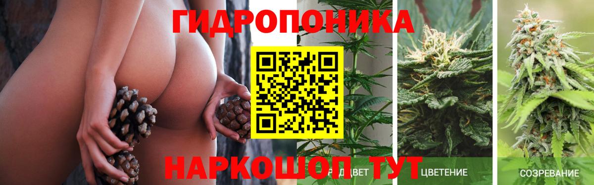 Конопля VHQ  МАРИХУАНА семена  Славянск-на-Кубани  Вход с VPN  МАРИХУАНА индика 